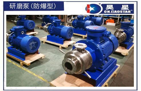 防爆直聯式研磨泵1.jpg